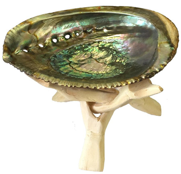 Abalone Shell Ash Dish / Wooden Stand / Sage Smudging Herbs