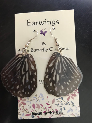 Borneo Graphium deucalion Butterfly Wing Earrings