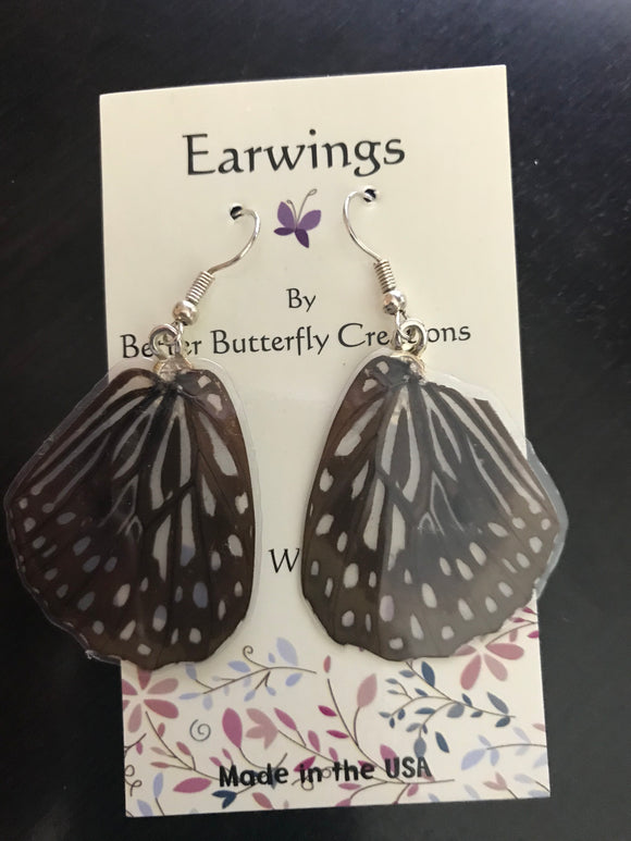 Borneo Graphium deucalion Butterfly Wing Earrings