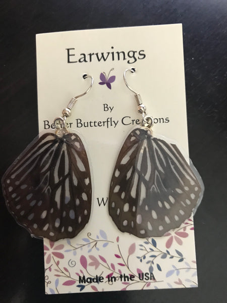 Borneo Graphium deucalion Butterfly Wing Earrings