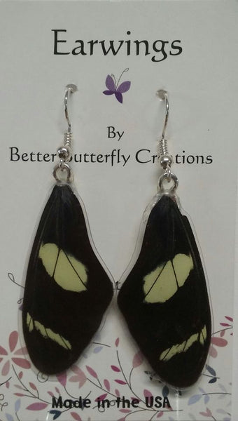 Heliconius doris Butterfly Wing Earrings